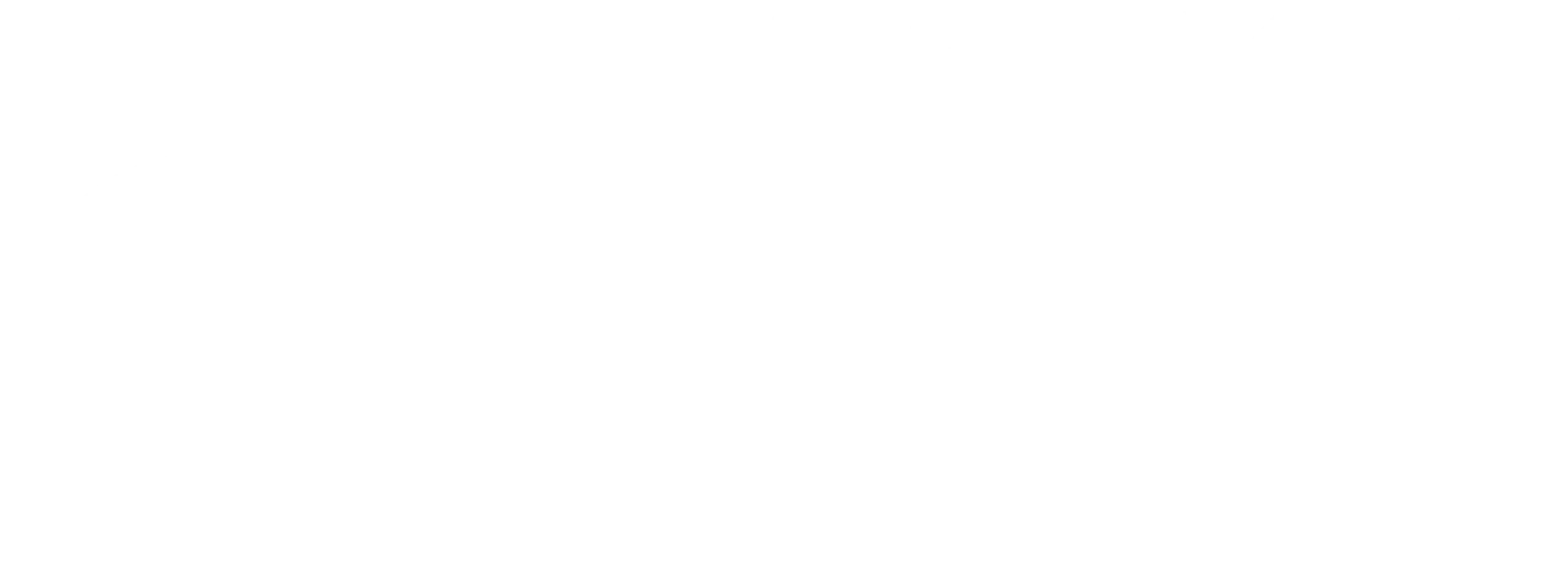 TNECLOGO_0002 Trung Nguyen E-Coffee logo, a stylized emblem representing the brand's online services and legal terms